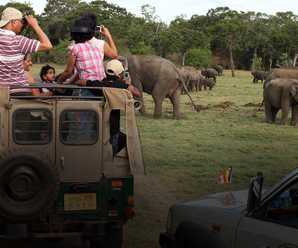 Adventurous Tour