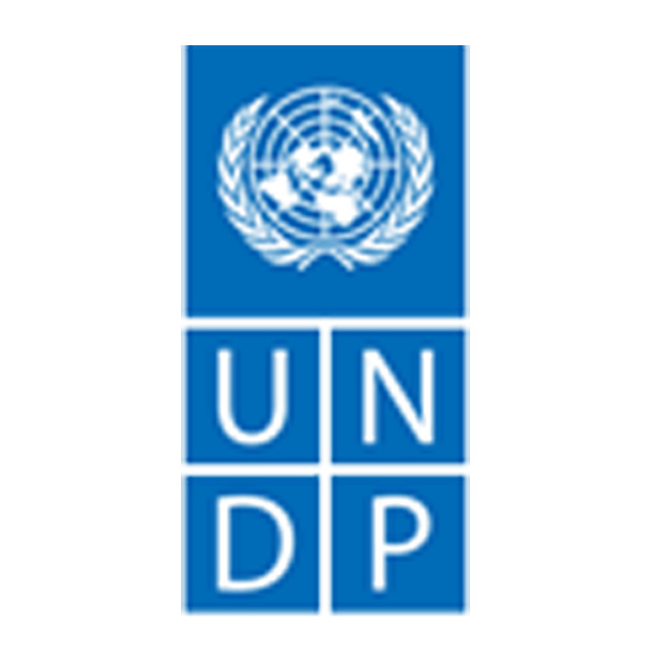 UNDP partner